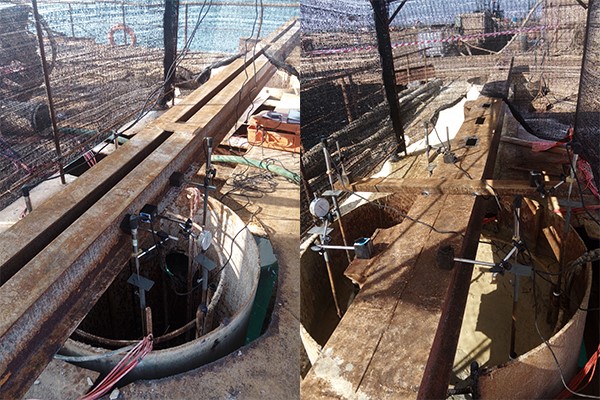 蘇丹港牲畜碼頭項(xiàng)目