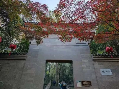 1606199936342012.jpg 20.webp.jpg