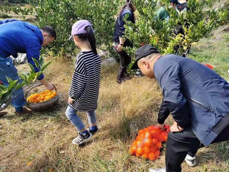 1606199736217917.jpg 4.webp.jpg