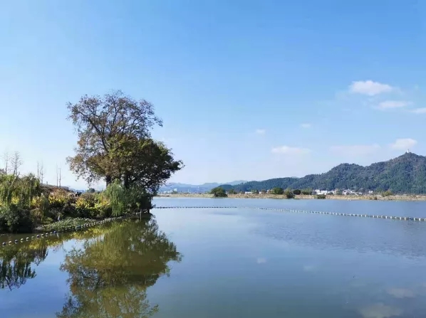 1606199746689229.jpg 5.webp.jpg