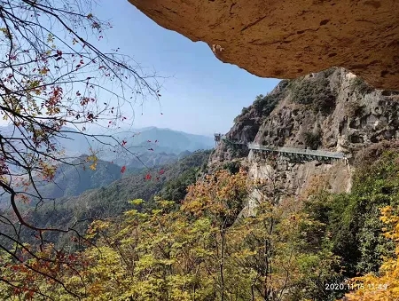 1606199920298973.jpg 18.webp.jpg