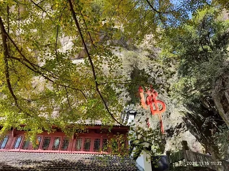 1606199929769508.jpg 19.webp.jpg