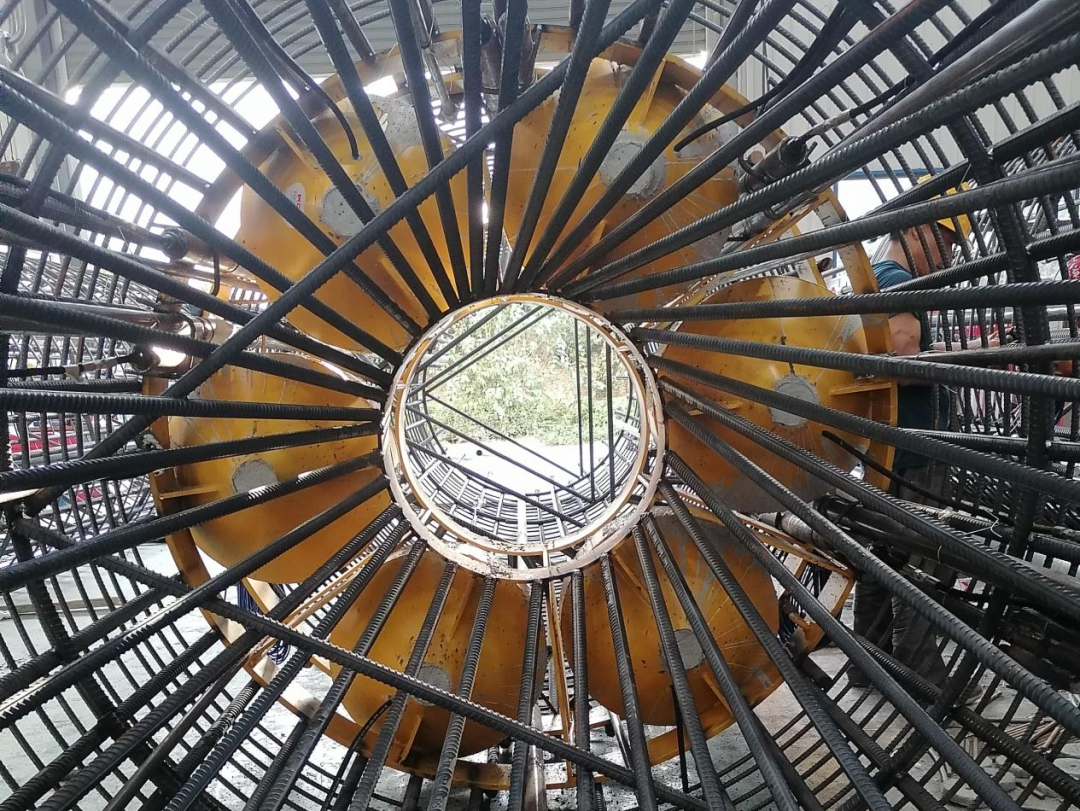 1650272926822450.png 8.png